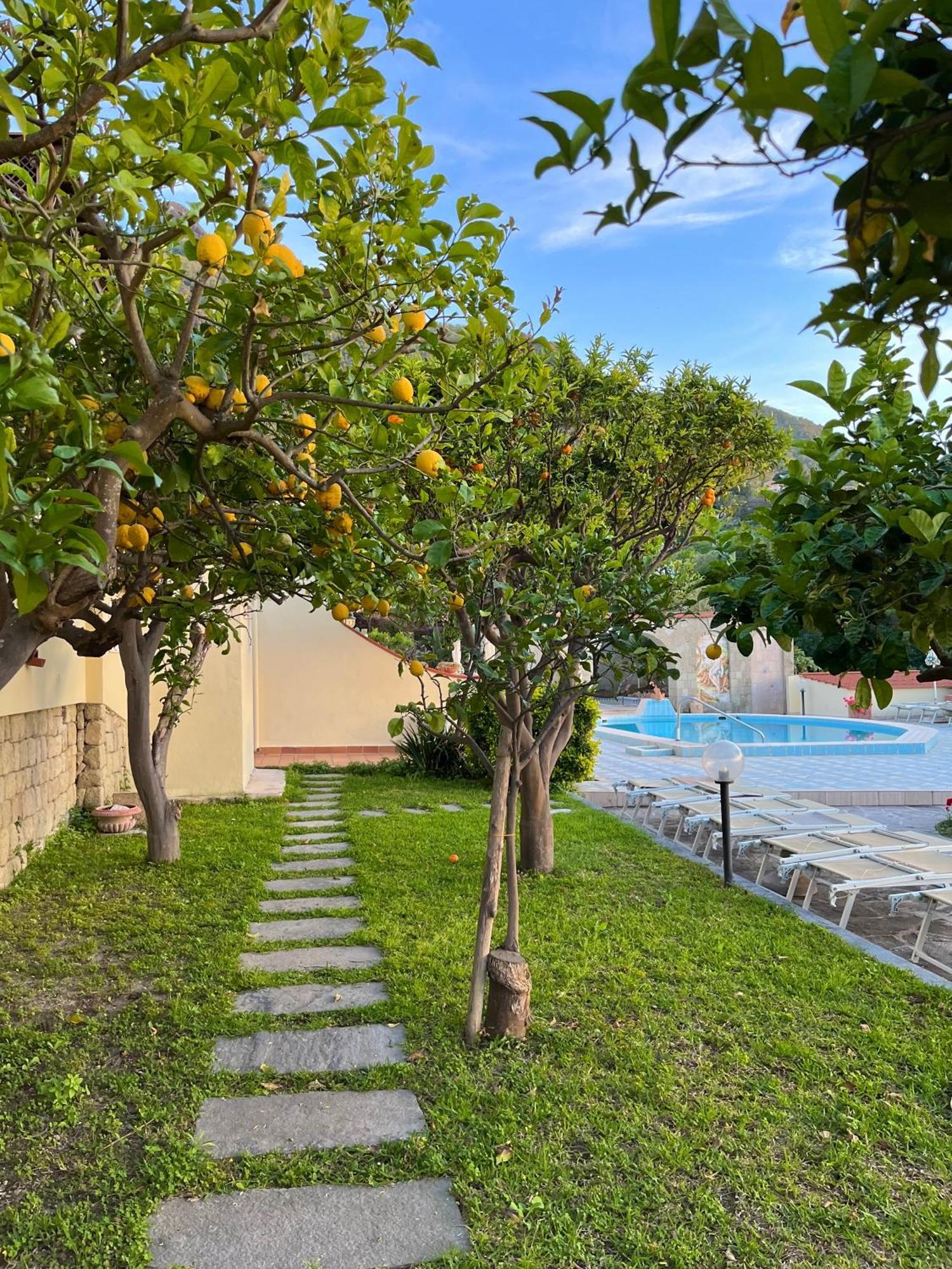 Resort Villa Flavio Casamicciola Terme ภายนอก รูปภาพ