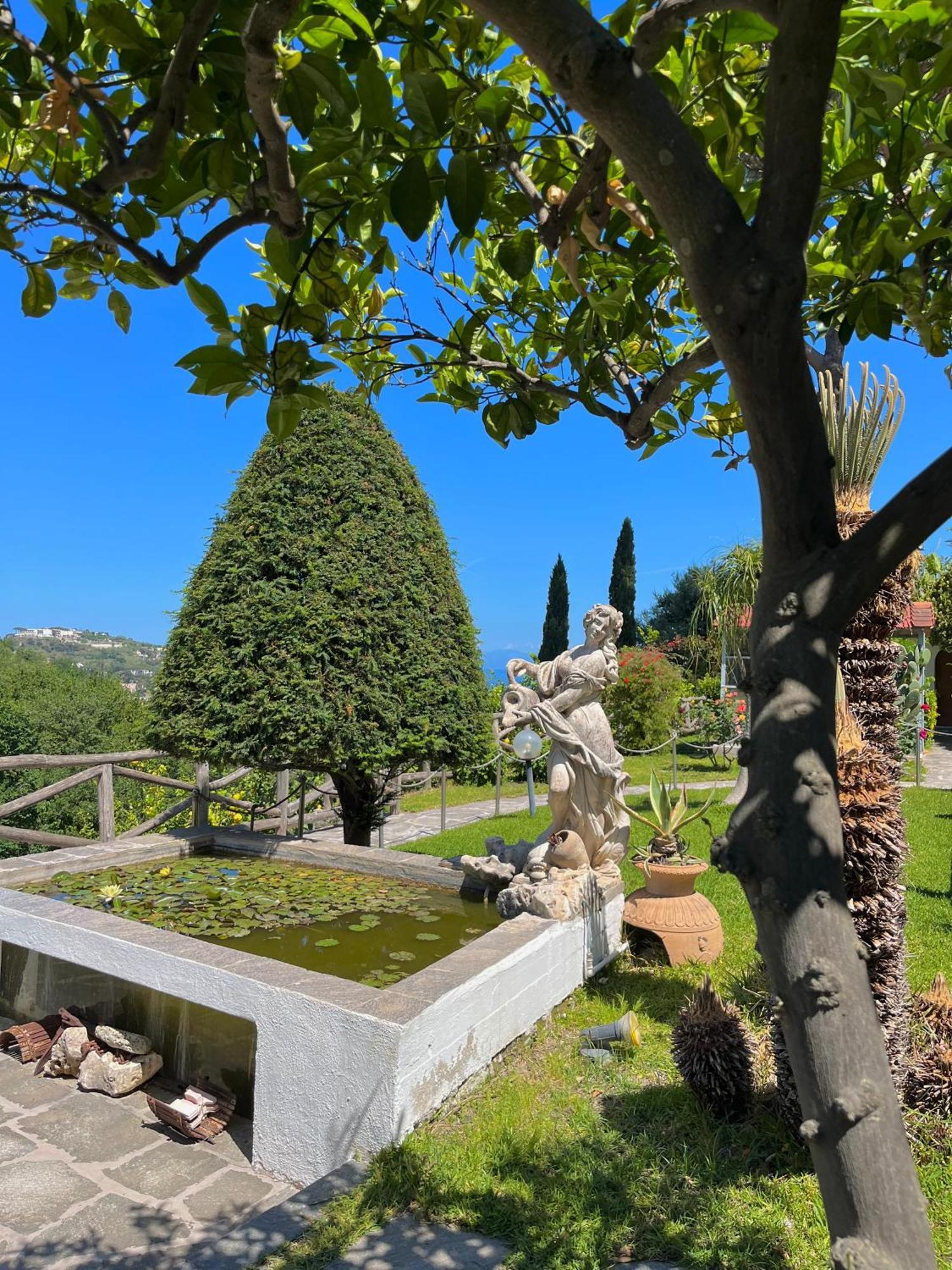 Resort Villa Flavio Casamicciola Terme ภายนอก รูปภาพ