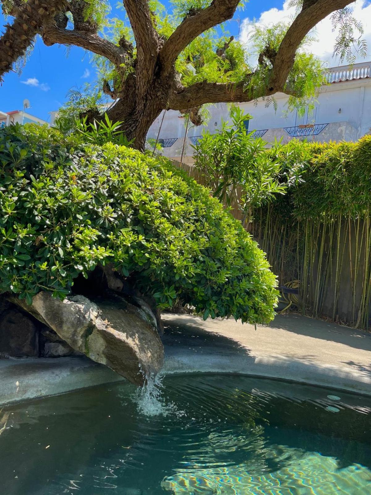 Resort Villa Flavio Casamicciola Terme ภายนอก รูปภาพ