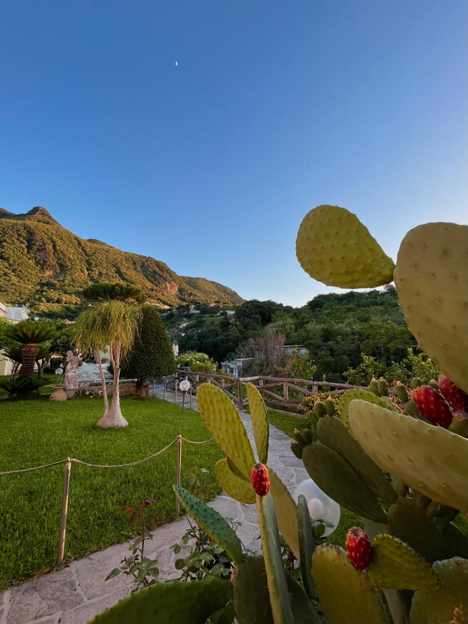 Resort Villa Flavio Casamicciola Terme ภายนอก รูปภาพ