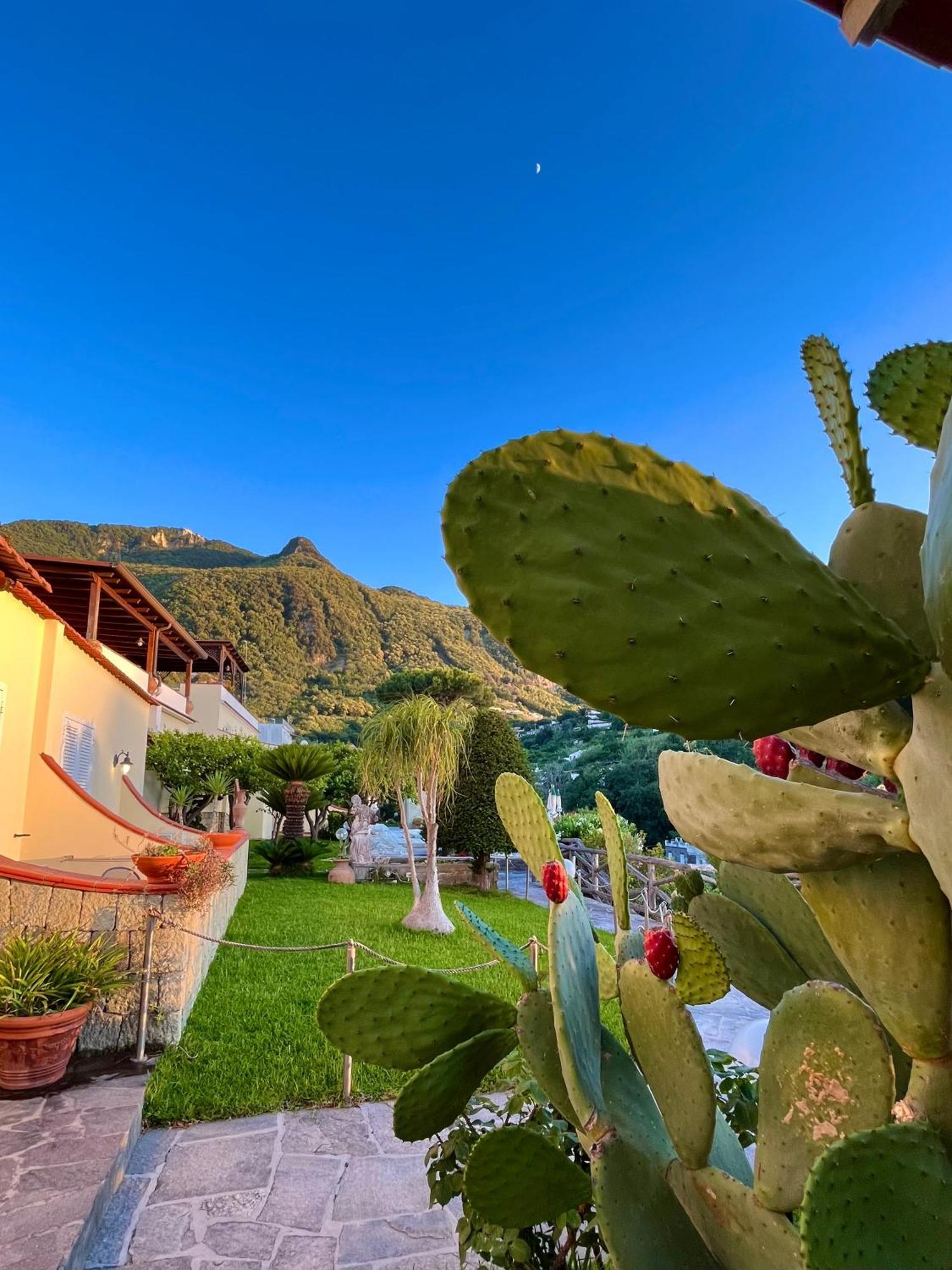Resort Villa Flavio Casamicciola Terme ภายนอก รูปภาพ