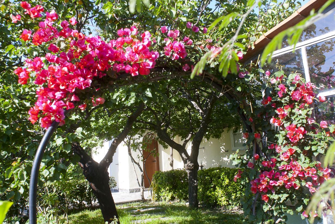 Resort Villa Flavio Casamicciola Terme ภายนอก รูปภาพ
