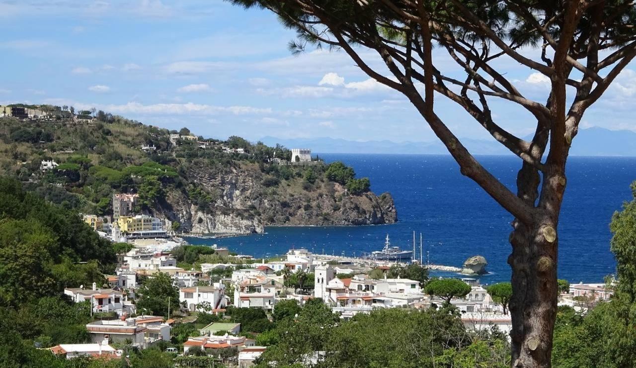Resort Villa Flavio Casamicciola Terme ภายนอก รูปภาพ